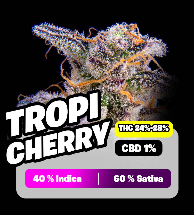 weedlers-tropi-cherry