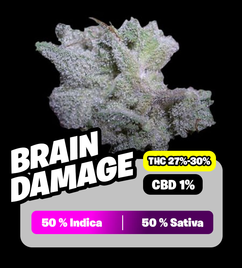 weedlers-brain-damge