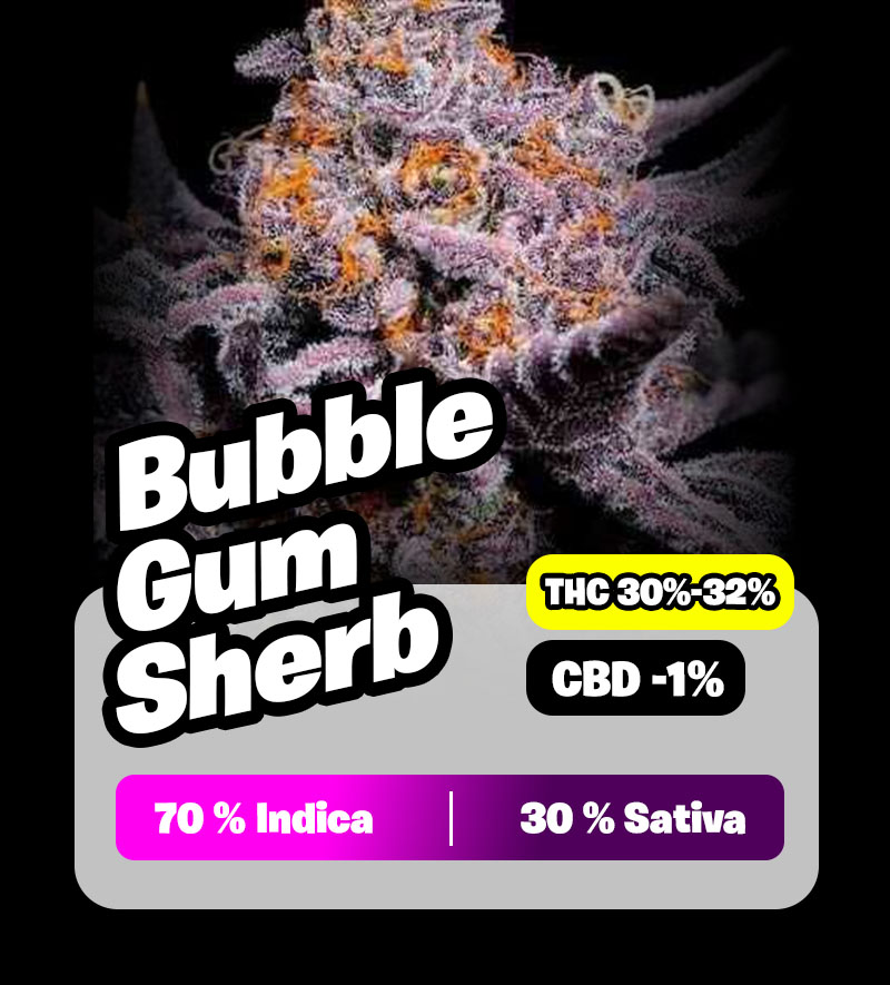 weedlers-bubble-gum-sherb