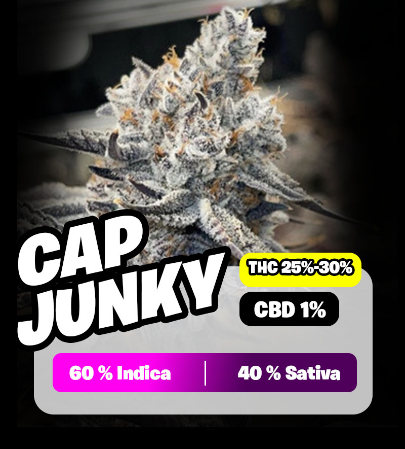 weedlers-cap-junky