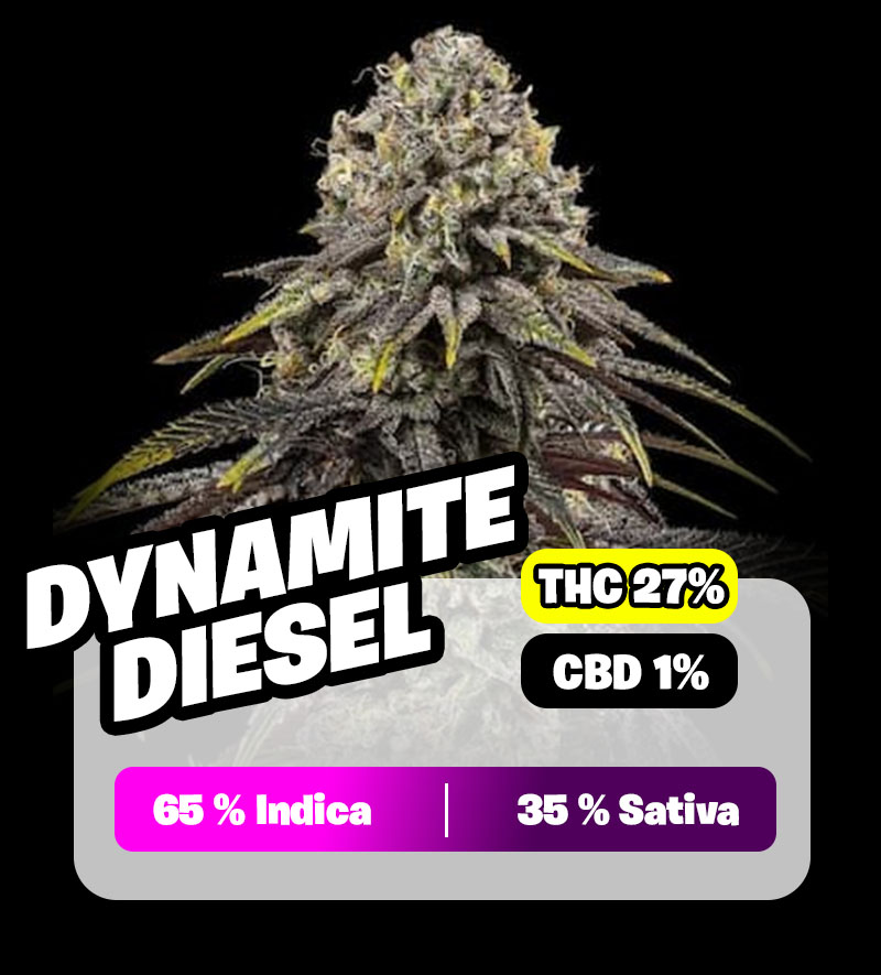 weedlers-dynamite-diesel