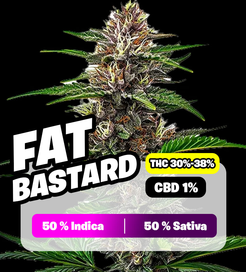 weedlers-fat-bastard