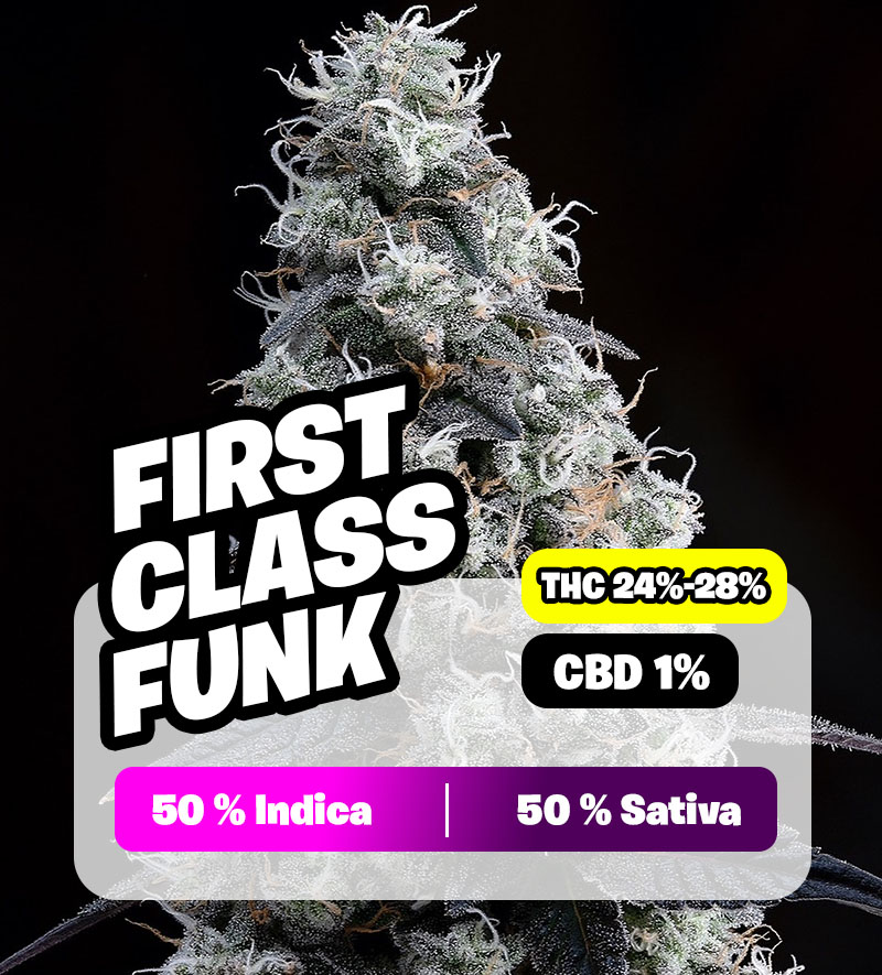 weedlers-first-class-funk