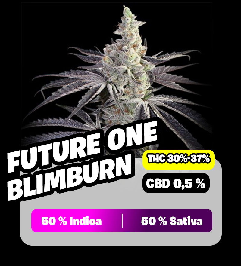 weedlers-future-one-blimburn