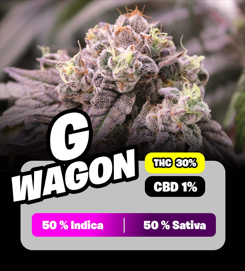 weedlers-g-wagon