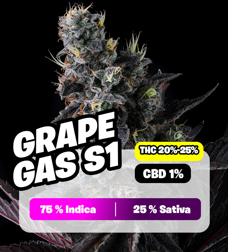 weedlers-grape-gas-s1