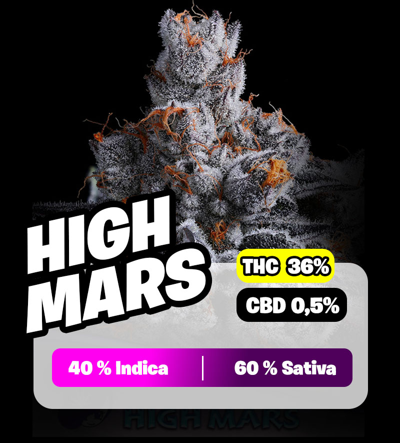 weedlers-high-mars