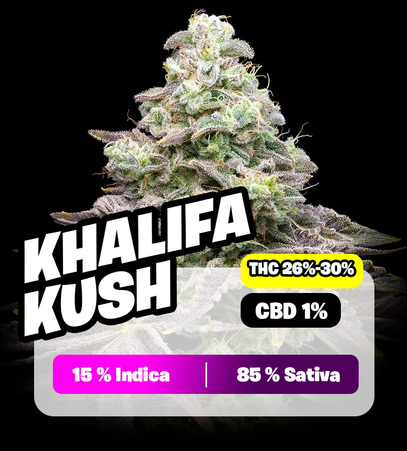 weedlers-khalifa-kush