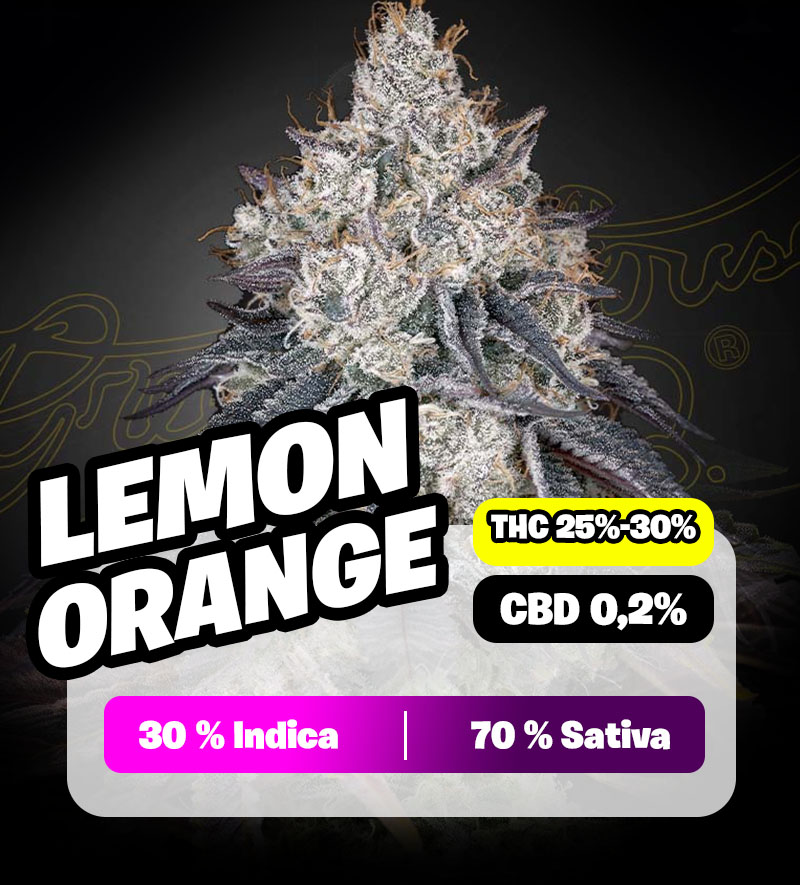 weedlers-lemon-orange