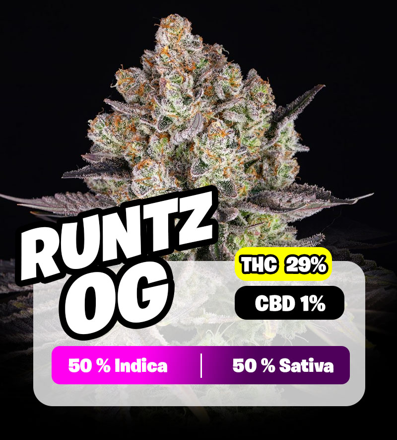 weedlers-runtz-og