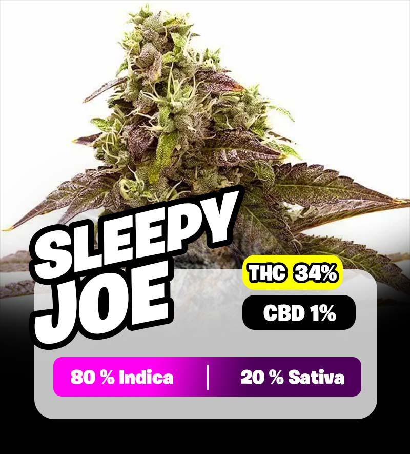 weedlers-sleepy-joe