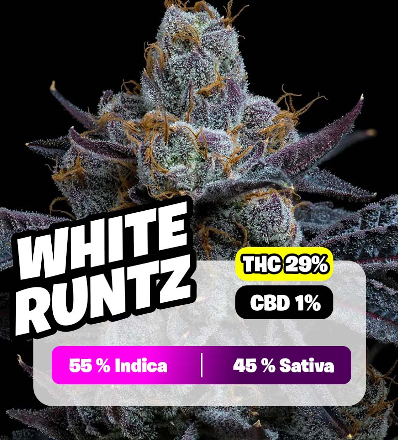 weedlers-white-runtz
